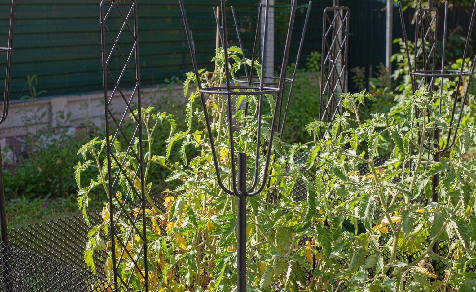 AQGYSYY garden trellises and plant supports in a garden border