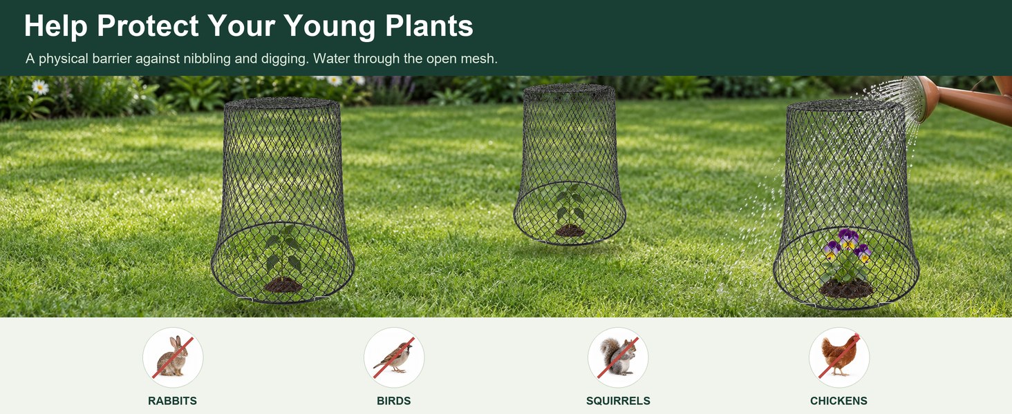 AQGYSYY Chicken Wire Cloches & Plant Protectors in a backyard setting