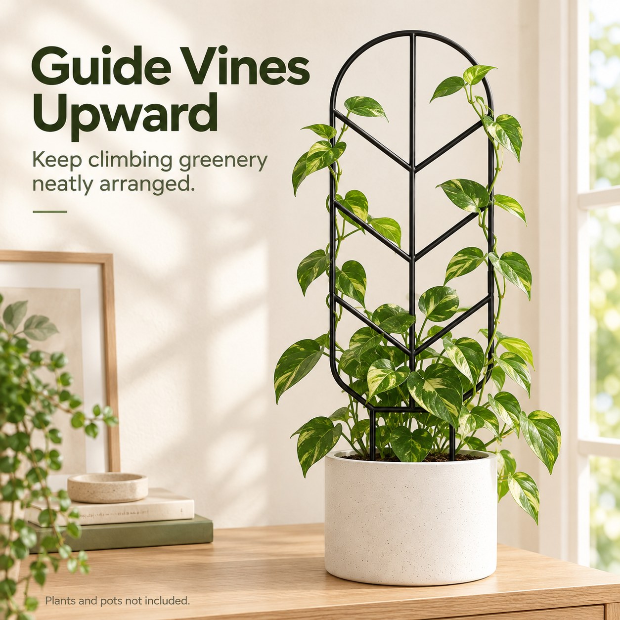 AQGYSYY Garden Obelisk Trellis