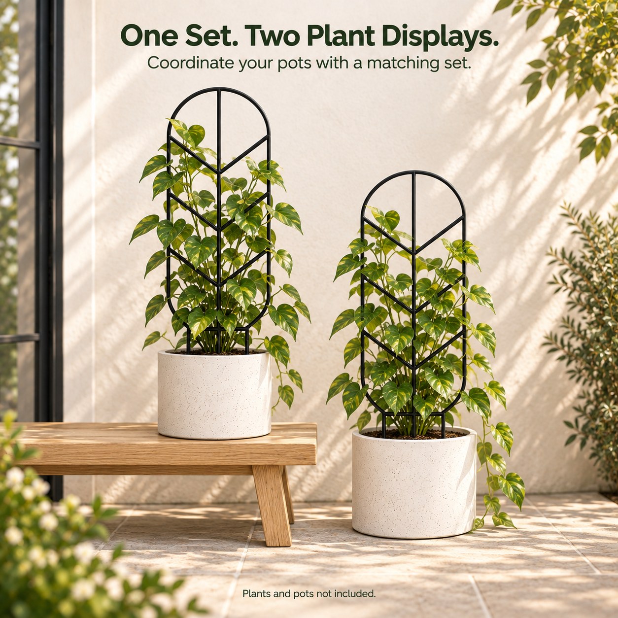 One set, two plant displays: tall and short trellises coordinating potted plants