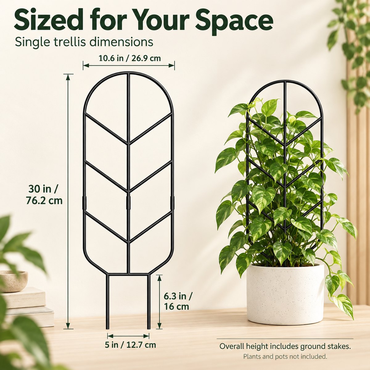 Sized for your space: single trellis 10.6 in / 26.9 cm wide, 30 in / 76.2 cm tall overall, 6.3 in / 16 cm ground stakes, 5 in / 12.7 cm base